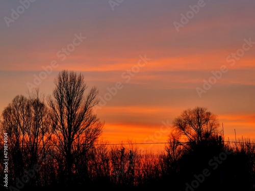 sunset in the field