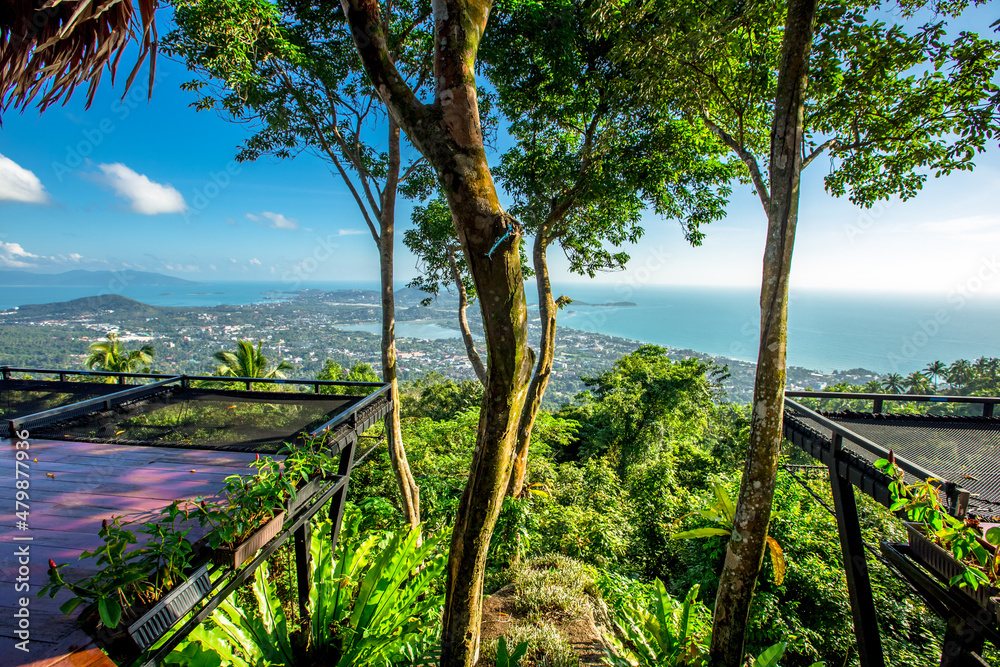 panoramic background of high mountain scenery, overlooking the atmosphere of the sea, trees and wind blowing in a cool blur, spontaneous beauty