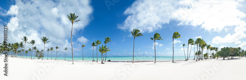 Juanillo beach with palm trees, white sand and turquoise caribbean sea Fototapet