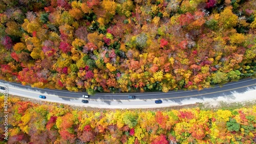 Aerial view of scenic highway with cars driving and peak fall colors photo