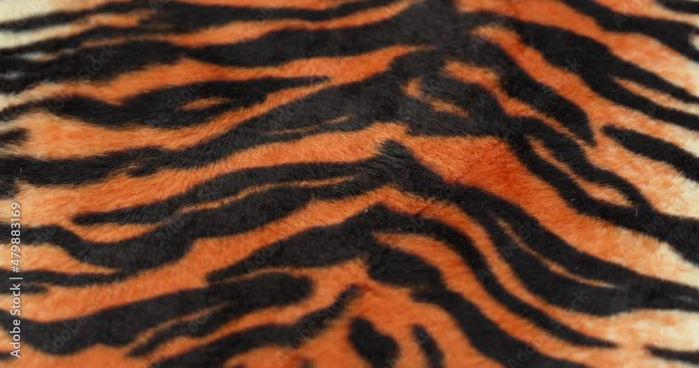 Tiger fur fabric close-up. Animal print background, striped wool textile. Symbol of year 2022. Handmade, fashion design and tailoring concept. Tiger fur fabric close-up. Animal print background, striped wool textile. Symbol of year 2022. Handmade, fashion design and tailoring concept.