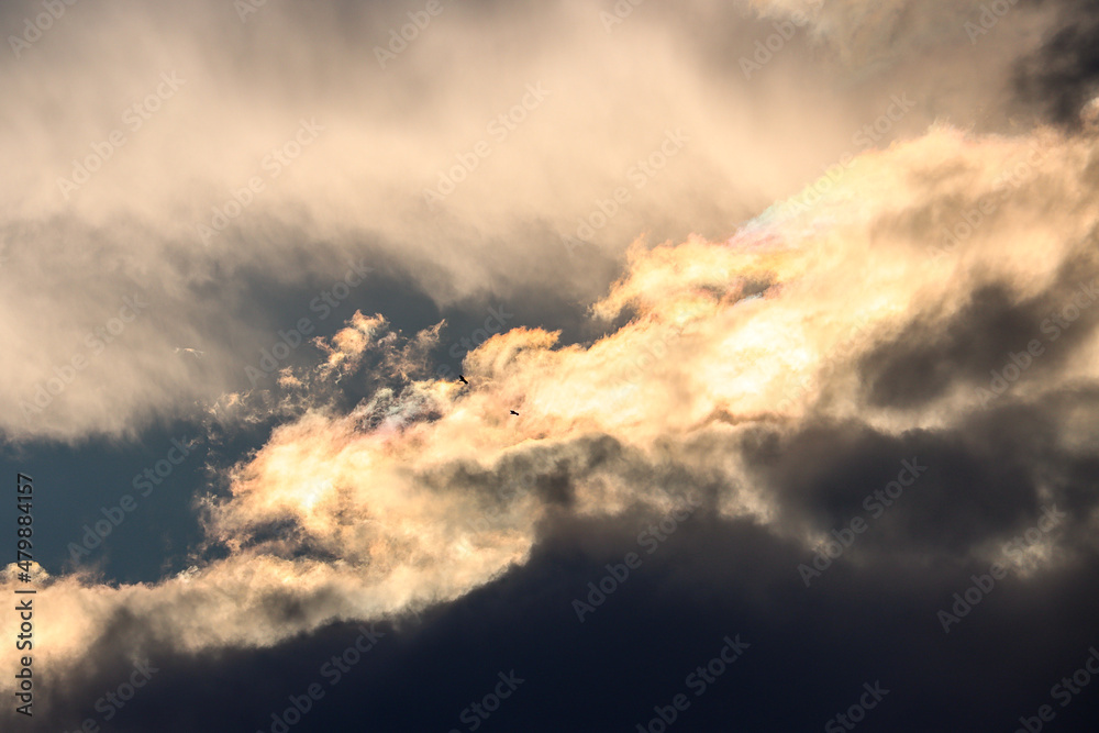 custom made wallpaper toronto digitalCielo 