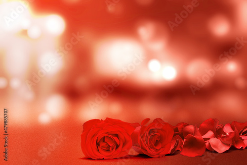 Red rose and rose petals with blurred light background