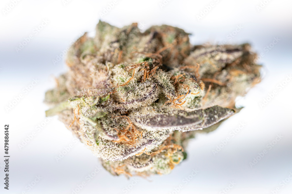 Macro view of marijuana bud, top down. Cannabis crystals and trichomes visible on close up shot of medical marijuana ready to be prepared for use. Macro view of marijuana bud, top down. Cannabis crystals and trichomes visible on close up shot of medical marijuana ready to be prepared for use.