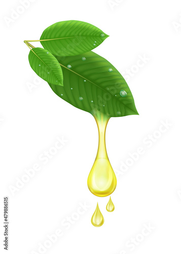 Oil drop from fresh green Kratom leaf (Mitragyna speciosa) Plant herbal alternative, narcotics, painkiller. Medical concept. Realistic 3D vector. Isolated on white background. photo