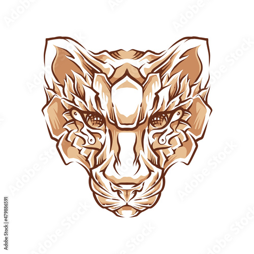 tiger head color vector illustration