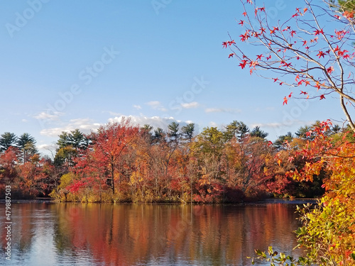 An explosion of Autumn foliage colors surrounds the perimeter of Dallenbach's Lake in East Brunswick, New Jersey, USA -12