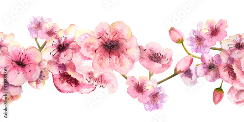 Seamless border with blossoming sakura branches on a white background. Watercolor illustration drawn by hand