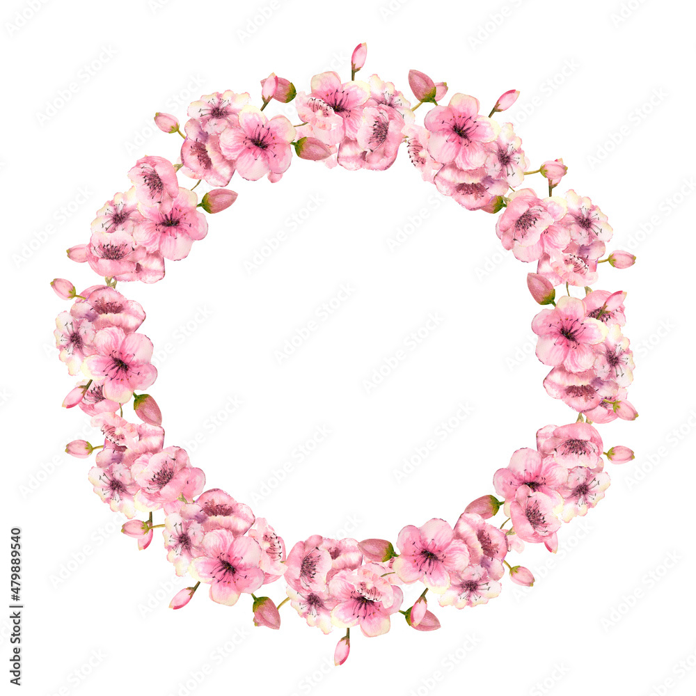 A wreath of spring pink sakura blossoms on a white isolated background. Watercolor illustration A wreath of spring pink sakura blossoms on a white isolated background. Watercolor illustration
