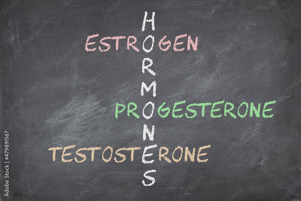 Female sex hormones estrogen progesterone and testosterone on blackboard written in crossword.  - obrazy, fototapety, plakaty 