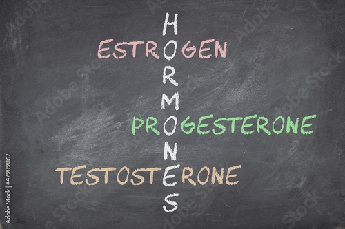 Female sex hormones estrogen progesterone and testosterone on blackboard written in crossword.  photo