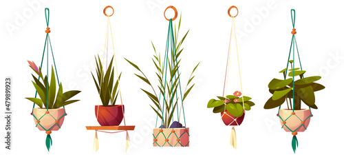 House plants in hanging pots, planters in macrame hangers. Vector cartoon set of flowers in handmade holders from rope for home interior decoration isolated on white background