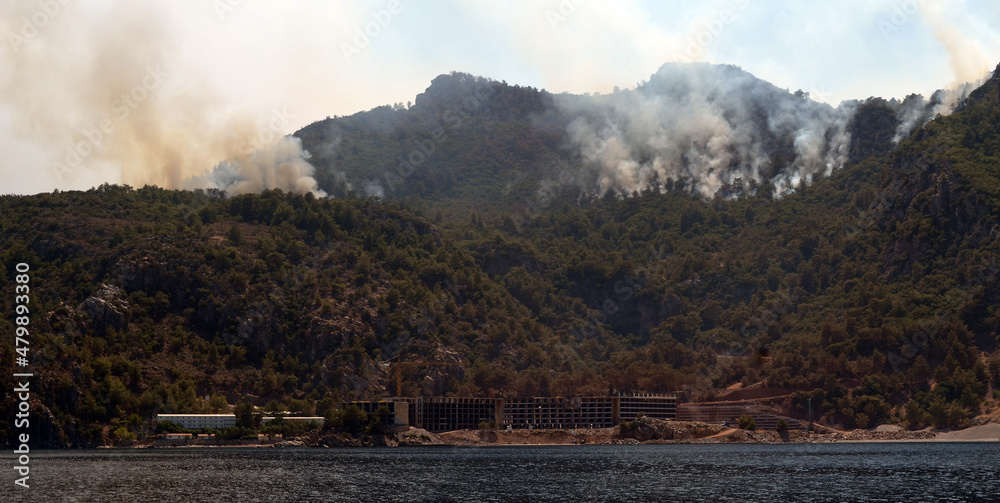 Wildfire in the forest near a resort town Icmeler, Turkey. Summer 2021