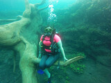 Young woman practices the sport scuba diving with oxygen tank equipment, visor, fins, relaxes and enjoys the bottom of the crystal clear water next to large branches and trunks
