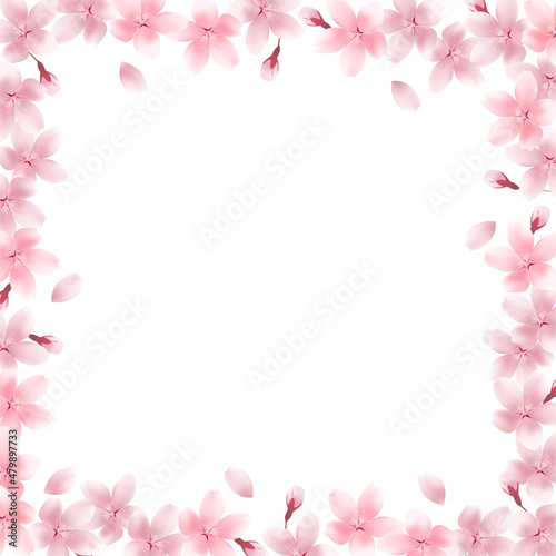 桜　春　花　フレーム © J BOY
