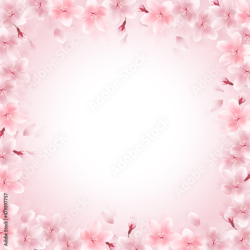 桜　春　花　フレーム