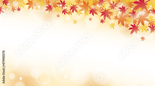 Red maple leaves with sunlight background