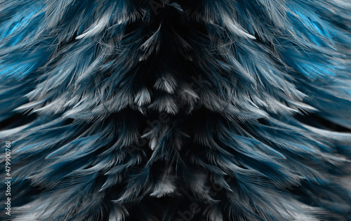 Beautiful Dark Gray Feathers Texture Pattern Background. Swan Feathers on Black.