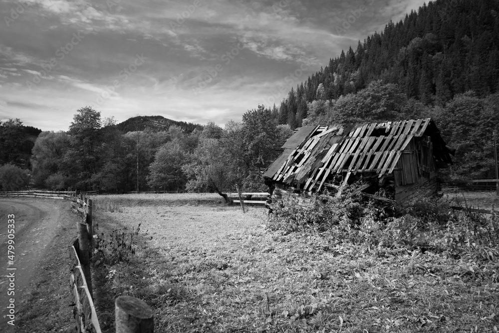 custom made wallpaper toronto digitalAbandoned house on Ukrainian Carpatian