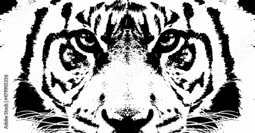 Tiger head illustration design