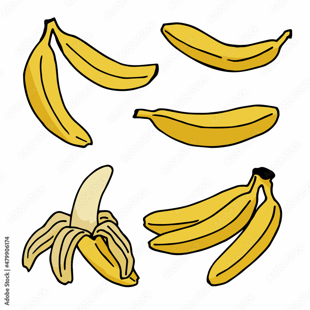 Bananas isolated on white background. Vector image.