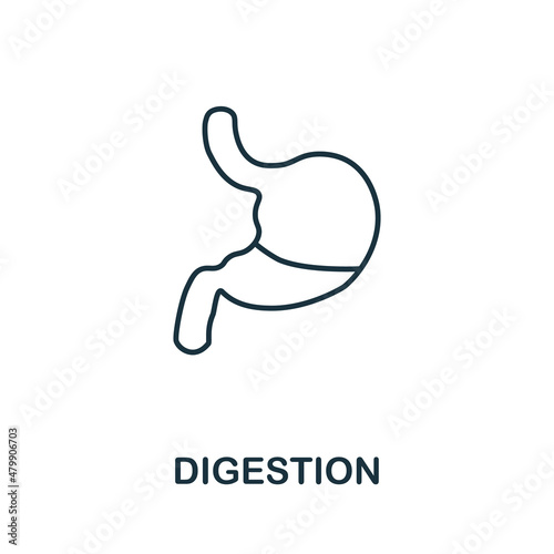 Digestion icon. Monochrome sign from diet collection. Creative Digestion icon illustration for web design, infographics and more