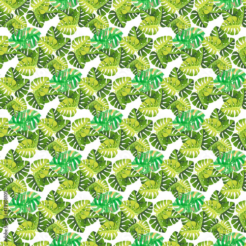 tropical monstera on white background Seamless Pattern Design