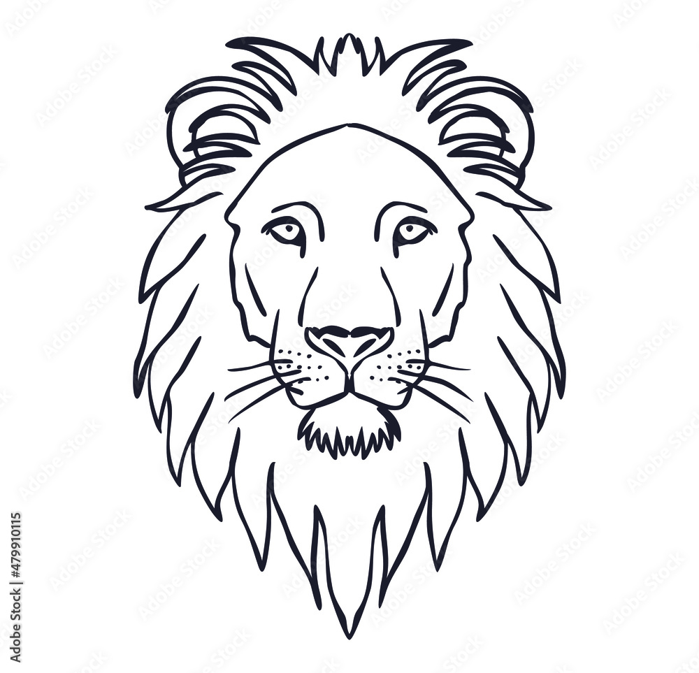 Lion head outline illustration vector