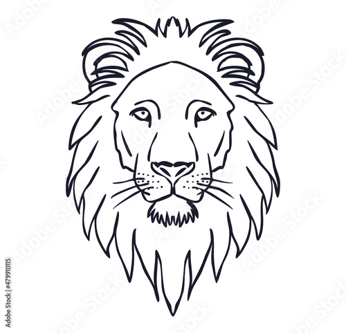 Lion head outline illustration vector