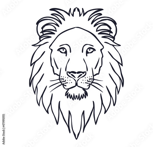 Lion head outline illustration vector photo