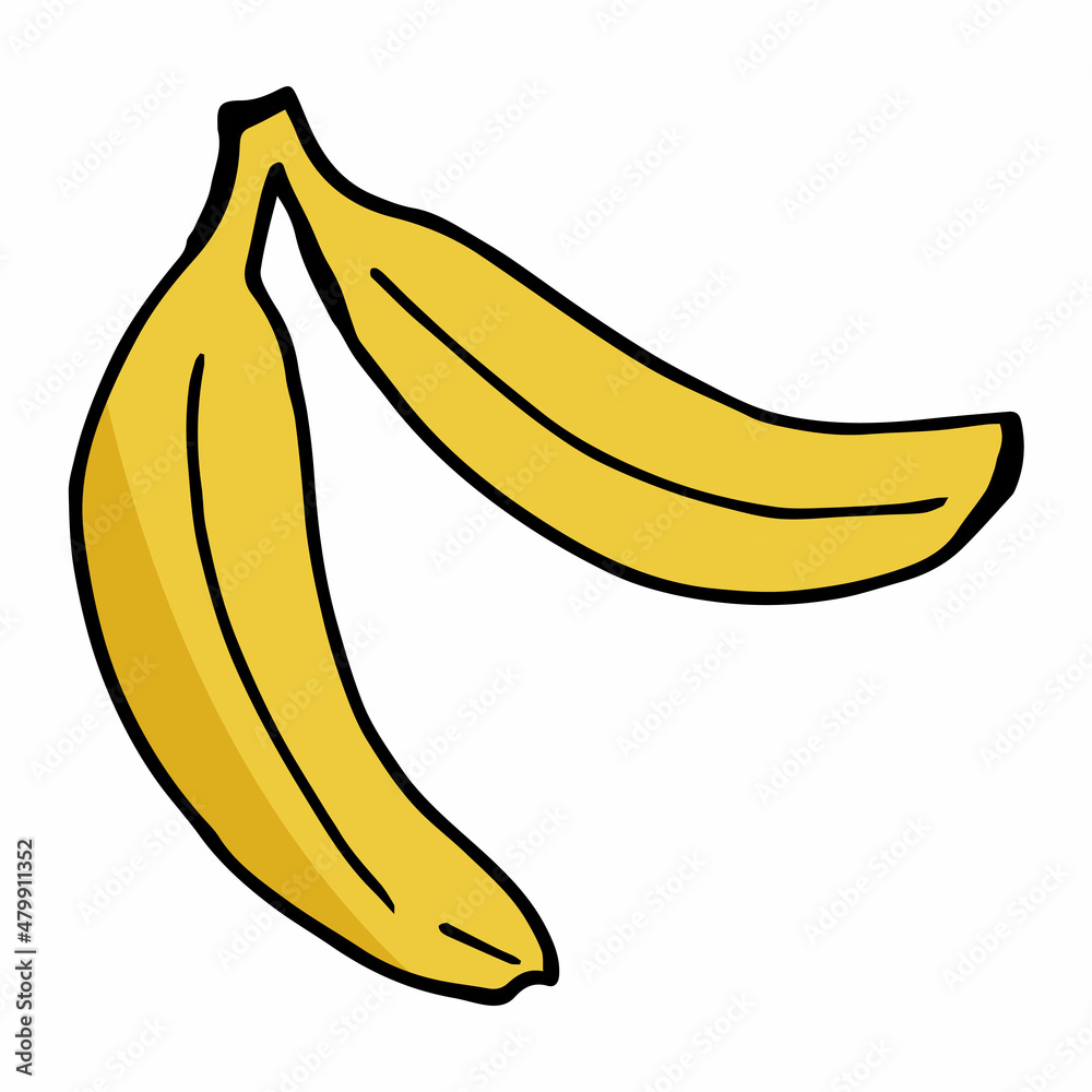 Two banana on white background. Vector image.