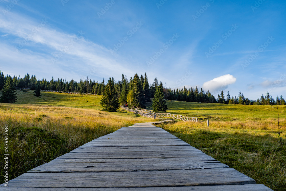 Fototapeta premium Karkonosze Polana