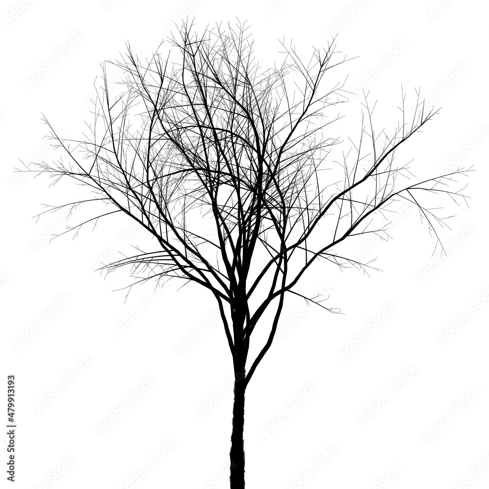 Fototapeta premium silhouette of a tree illustration, tree silhouette isolated on white.