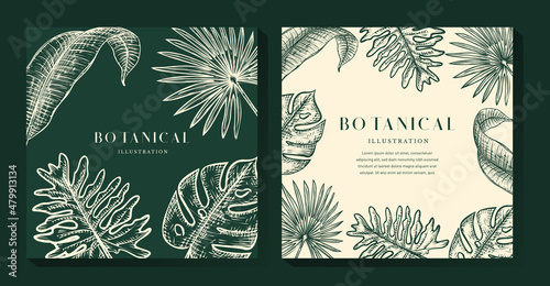 Tropical Leaves Background
