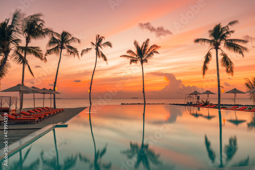 Fantastic poolside, sunset sky, palm trees reflection. Luxury tropical beach landscape, infinity swimming pool, deck chairs and loungers under umbrellas amazing scenic. Vacation resort hotel landscape © icemanphotos