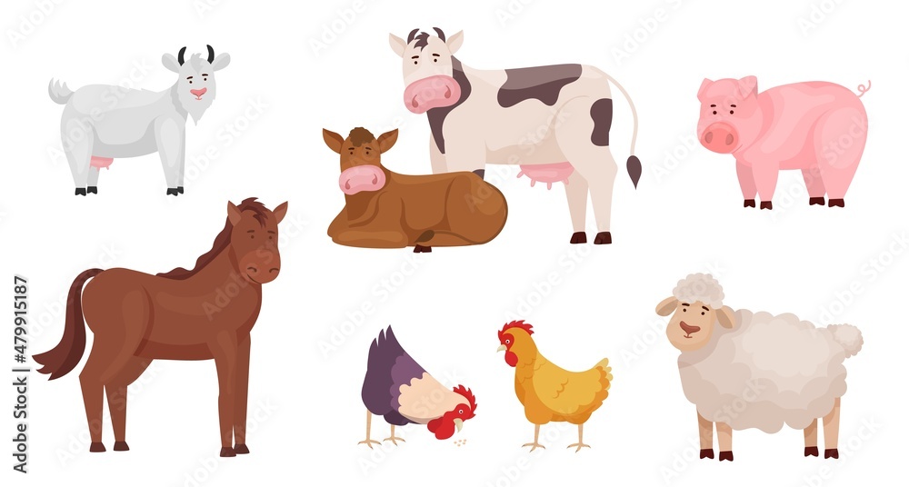 Fototapeta premium Farm animals set in cartoon style isolated on white background.