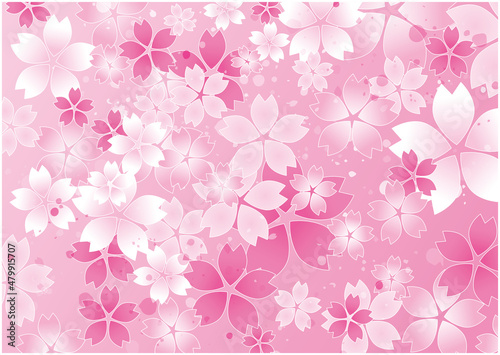 春　桜　花びら　背景
