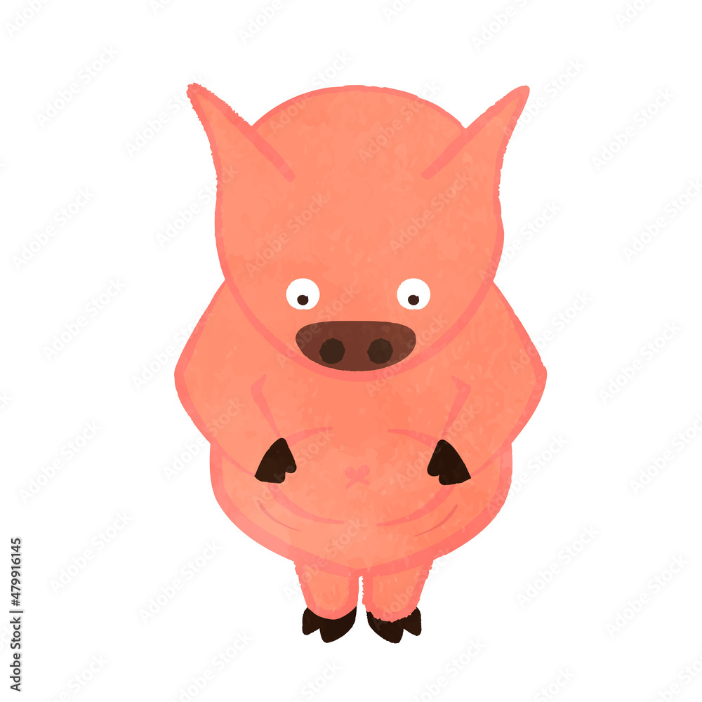 Fototapeta premium A cute pig that is worried about the meat of the stomach