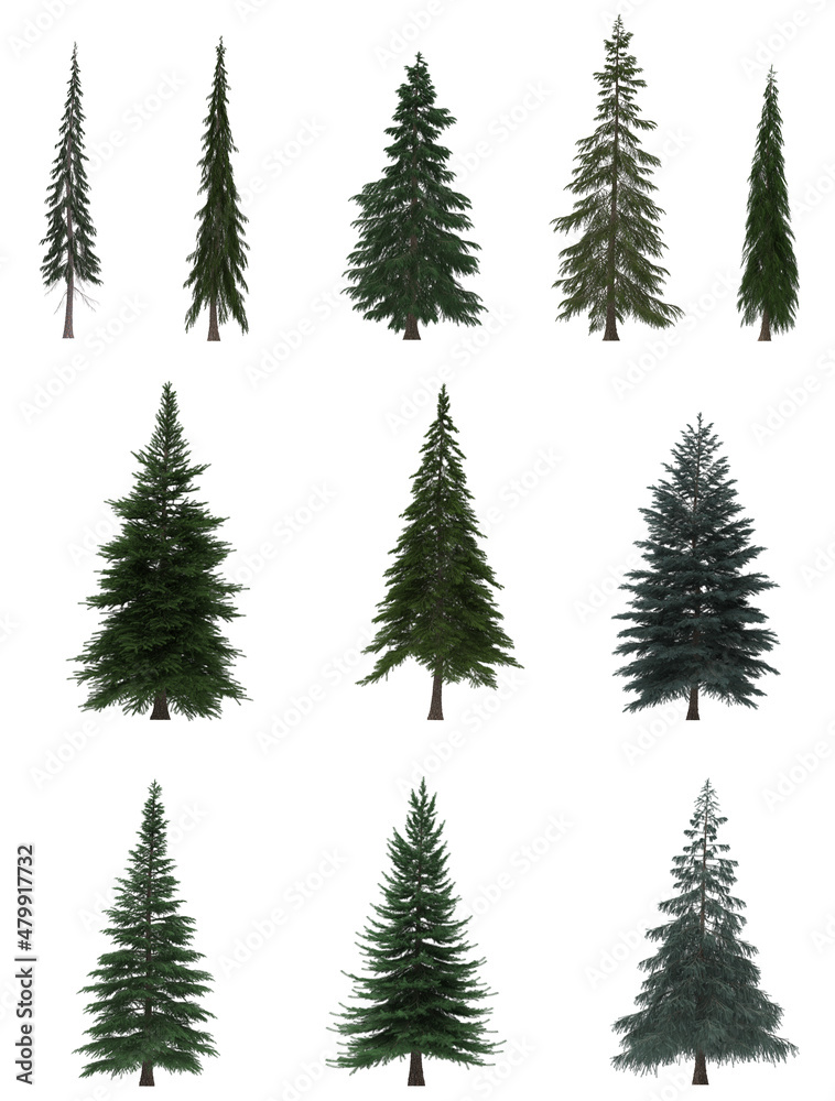 Green Pine, christmas tree isolated on white background. Banner design, 3D illustration, cg render
