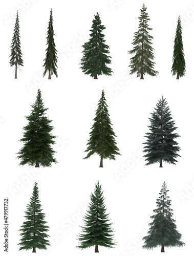 Green Pine  christmas tree isolated on white background. Banner design  3D illustration  cg render 