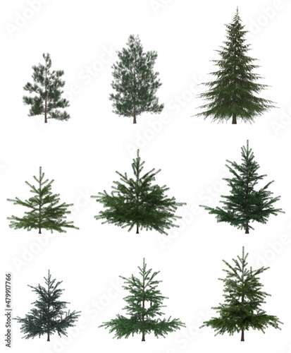 Green Pine, christmas tree isolated on white background. Banner design, 3D illustration, cg render 