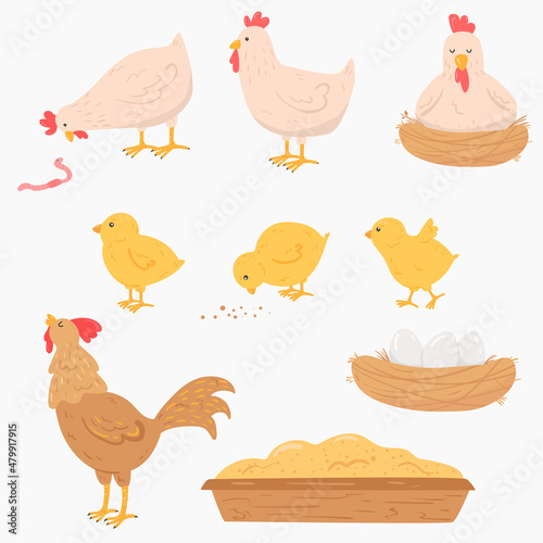 Set of cartoon chickens. Hens, rooster and chicks. Tray of grain feed, nest with eggs. Farm birds.