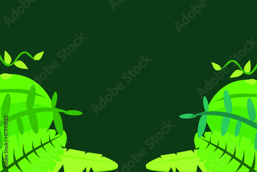walpaper background plant and emerald