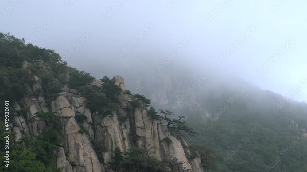 Outdoor mountain forest cloud fog scenery