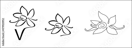 vanilla, logo, letter v, symbol, icon, flower, vanillin, orchid, plant, pastry chef, smell, taste