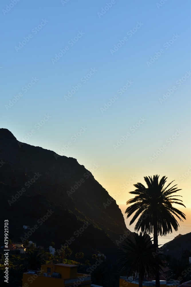 Naklejka premium Typical Canarian palm tree, houses and mountains in a beautiful sunset in Valle Gran Rey, La Gomera Island, Spain