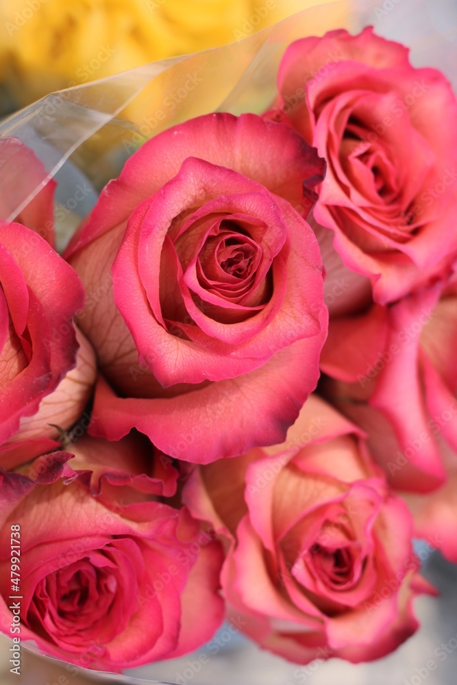 Fototapeta premium bouquet of red roses