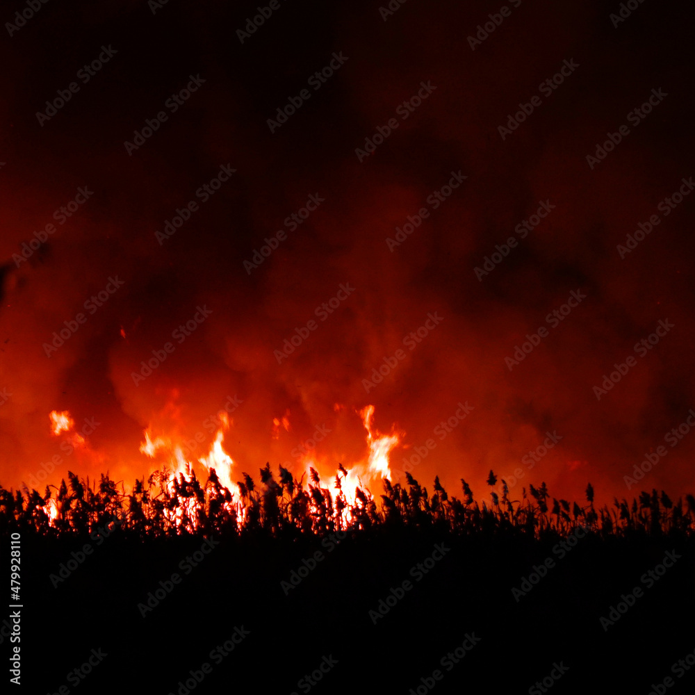 Blurred view. Flames from a dry grass fire at night. Night fire in the field