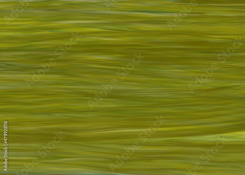 vector green grass abstract background illustration