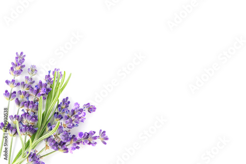 Aromatic Lavender flowers bundle on a white background. Isolated morning Lavender flowers close-up